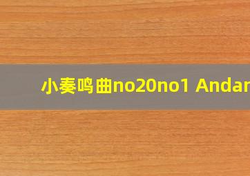 小奏鸣曲no20no1 Andante